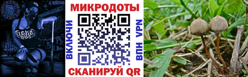 купить наркотик  Лысьва  Псилоцибиновые грибы мицелий 
